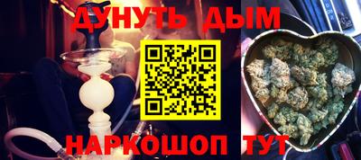 сатива Новодвинск