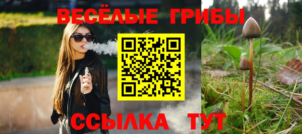 Псилоцибиновые грибы Cubensis  Вход с VPN  где можно купить наркотик  Галлюциногенные грибы Magic Shrooms  Чехов 