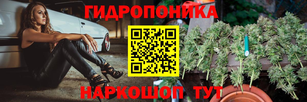 Шишки марихуана сатива  Шишки марихуана конопля  Чехов  Вход с VPN  Марихуана Ganja 
